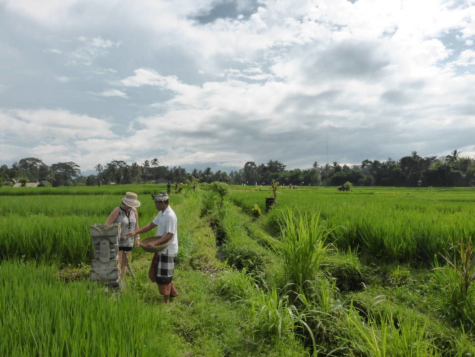 Op-stap-met-een-Balinees-3(8)