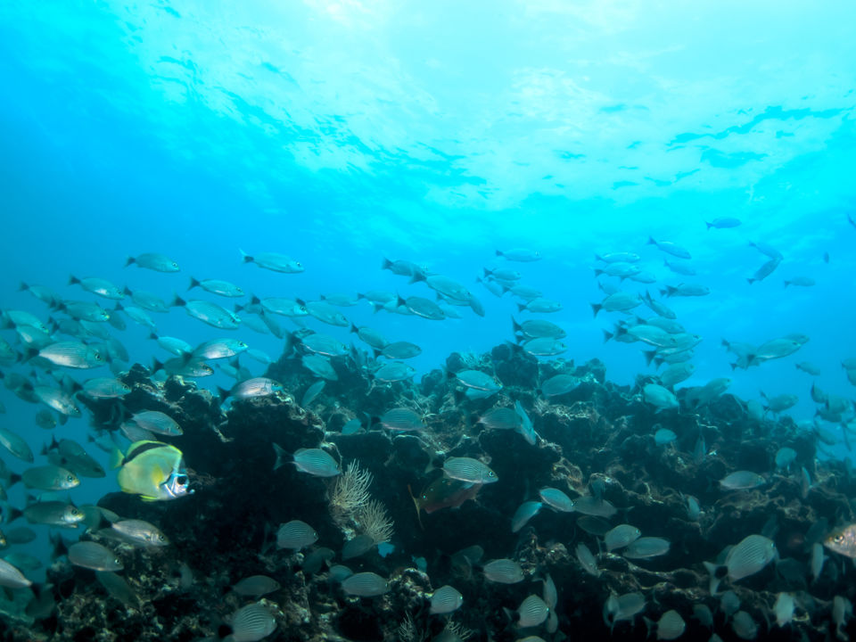 4c44ca7e-c18c-416e-89d6-29aea08c2524