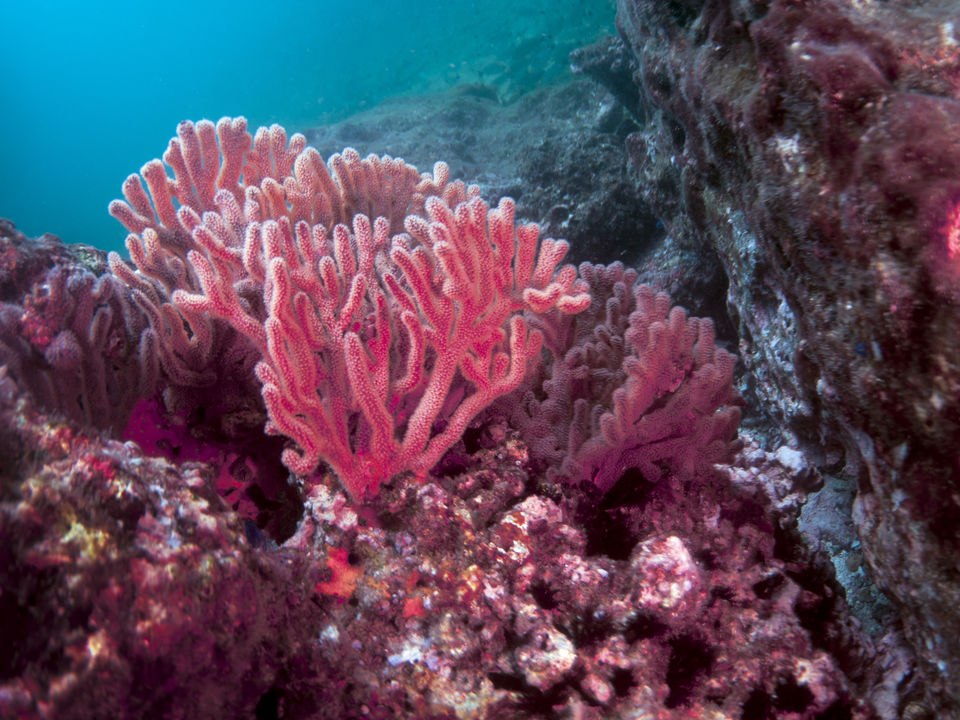 3d2c3684-9dbb-4c3c-9753-f7cd25b38999