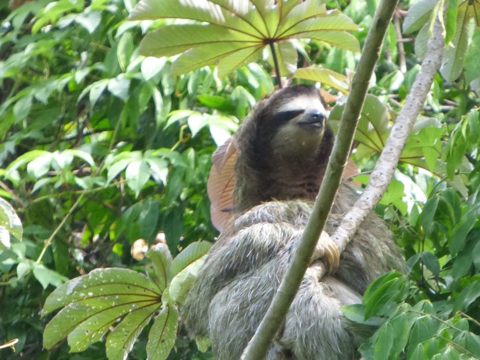 Panama-Valle-de-Anton-4_1_360931