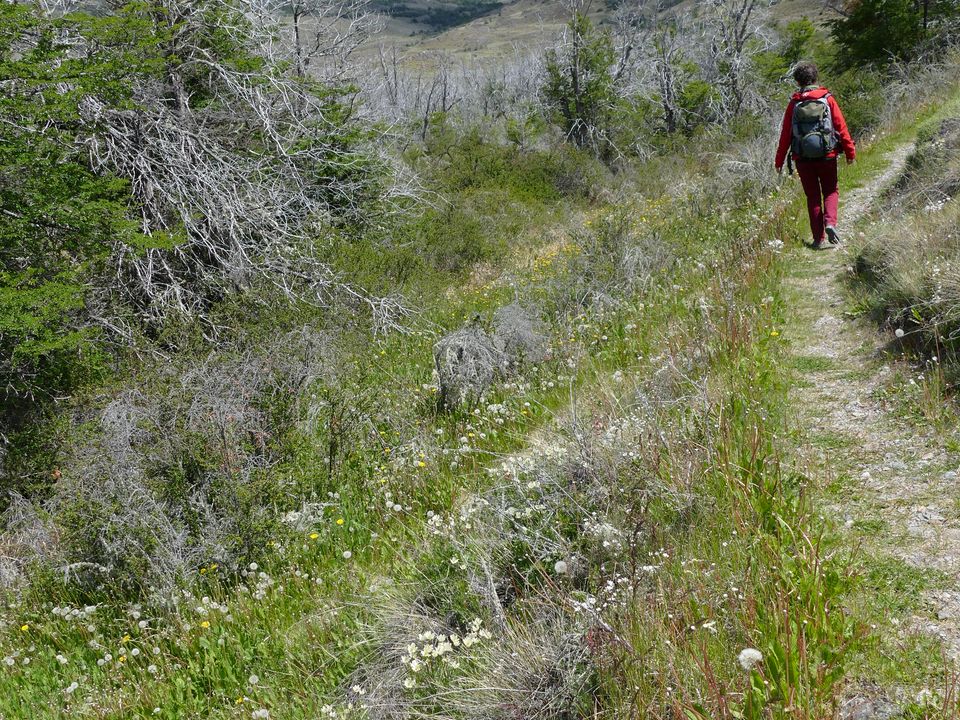 Parque-Patagonia-Hiken_1_430174