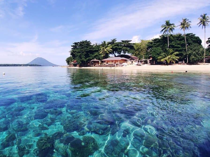 Snorkel bij Kuda Laut resort, Sulawesi