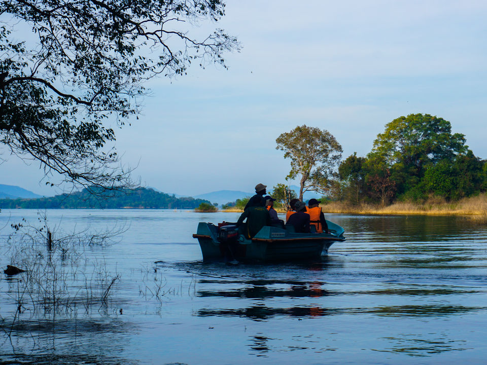 Kijk je ogen uit naar al het wildlife in Gal Oya National Park tijdens een bootsafari