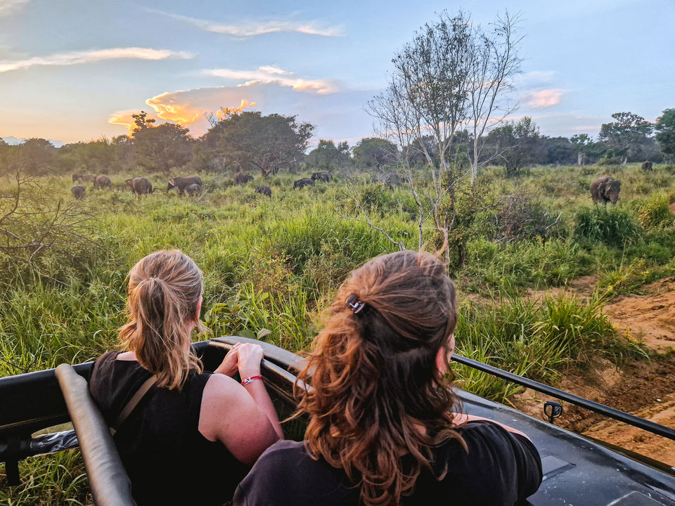 Olifanten safari in Sri Lanka
