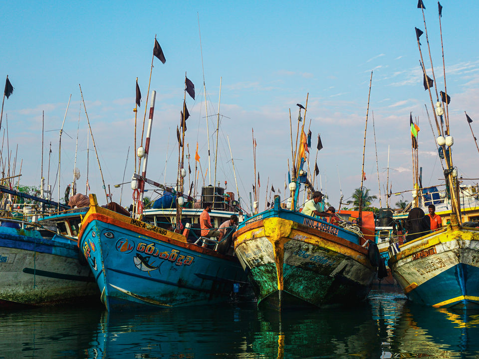 Boten in Negombo, Sri Lanka