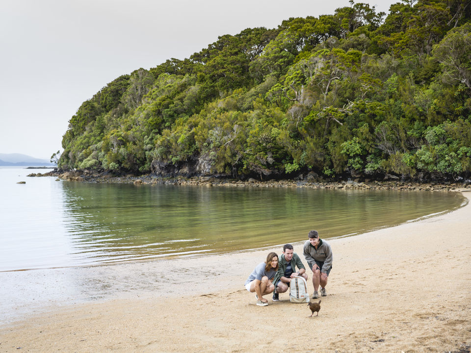 Wildlife spotten op Stewart Island in Nieuw-Zeeland