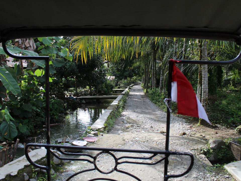 Maak een leuk tochtje in een Betjak door Bukit Lawang
