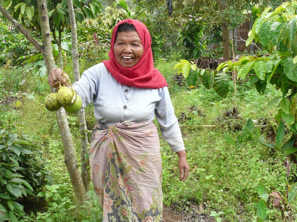 Sumatra-Bukittinggi-Local_1_393839