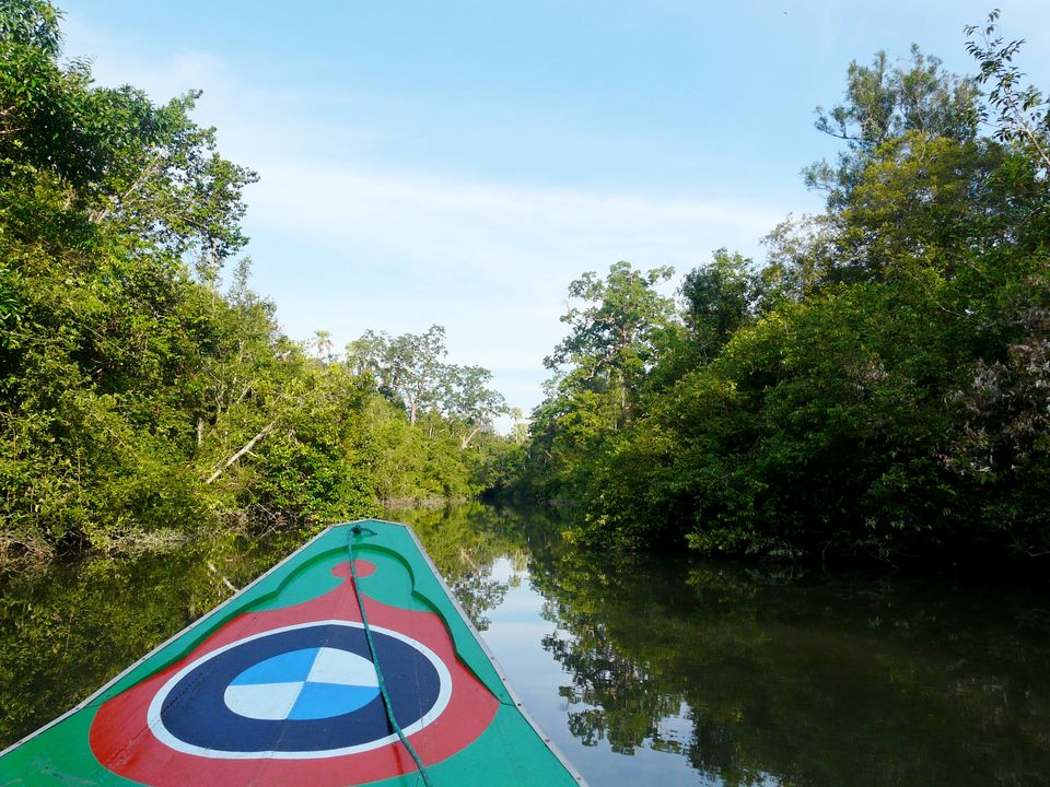 Sumatra-Way-Kambas3_1_393282