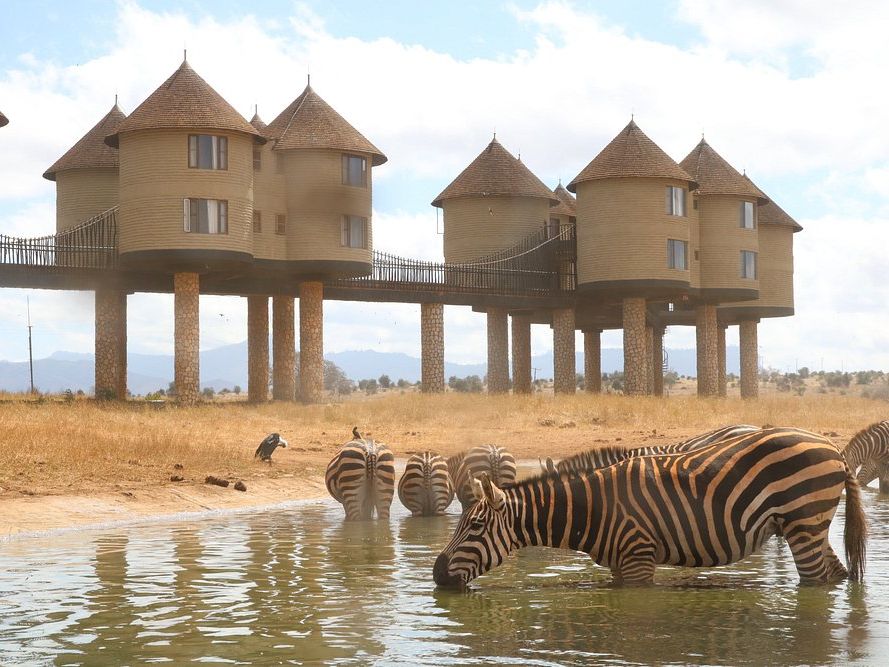 Salt Lick Safari Lodge, Taita Hills Wildlife Sanctuary in Kenia
