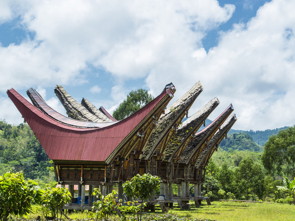 Tongkonan woningen van de Torajabevolking in Rantepao. Sulawesi