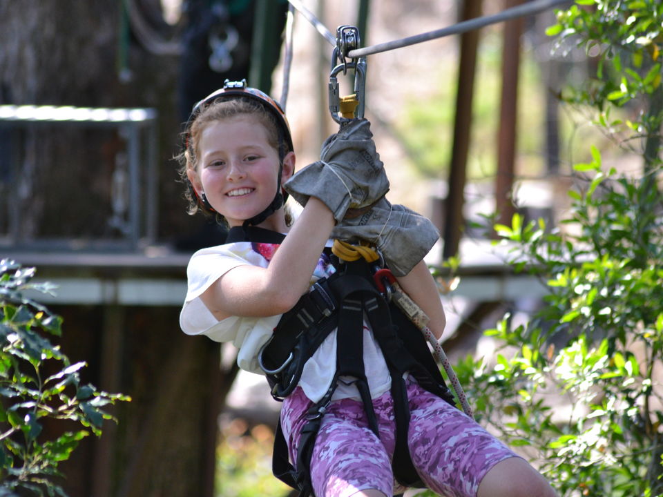 Canopy tour