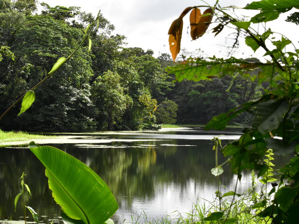 Vulkaan-Arenal-National-Park-6(17)
