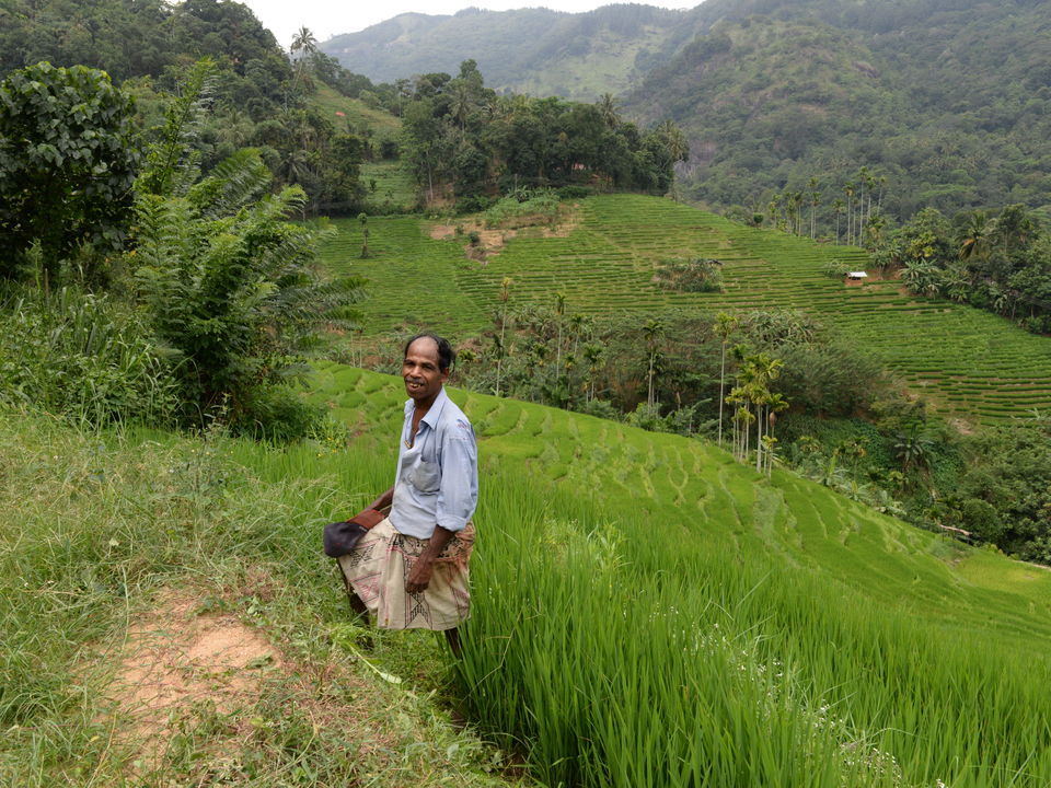 Bewoner in de natuur bij Sri Lanka