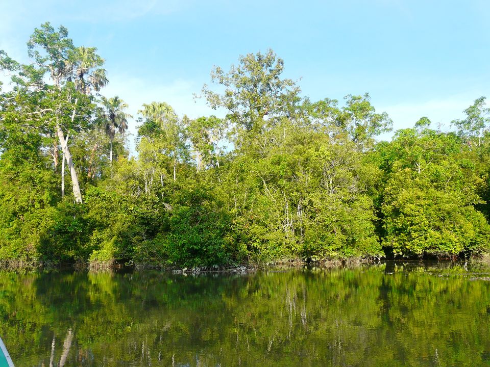 Way-Kambas-5_1_393369