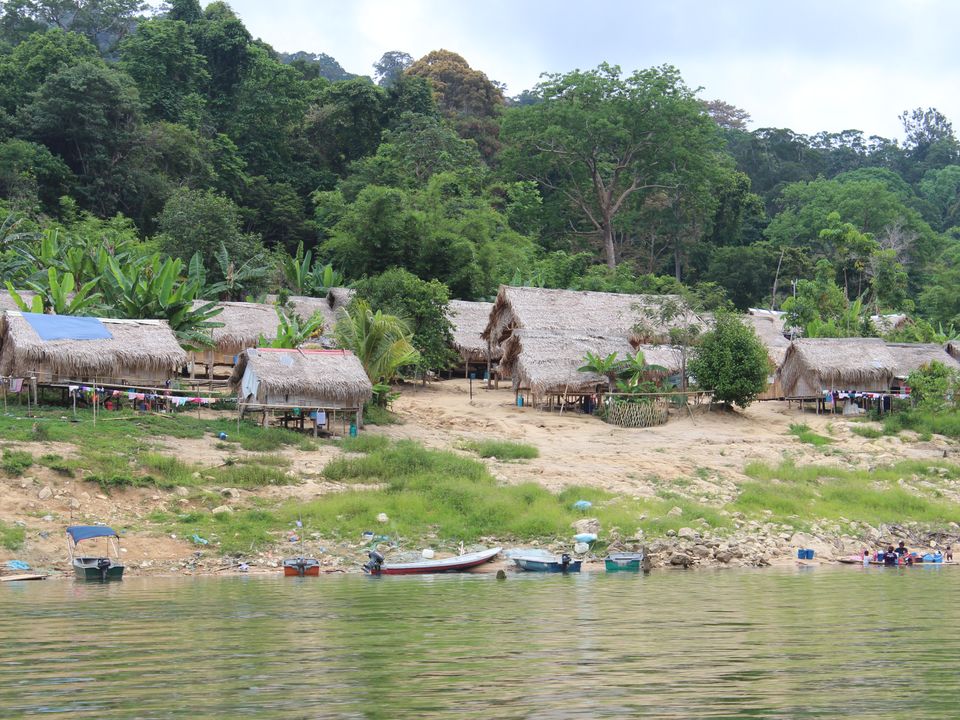 West-Maleisie-Belum-Rainforest