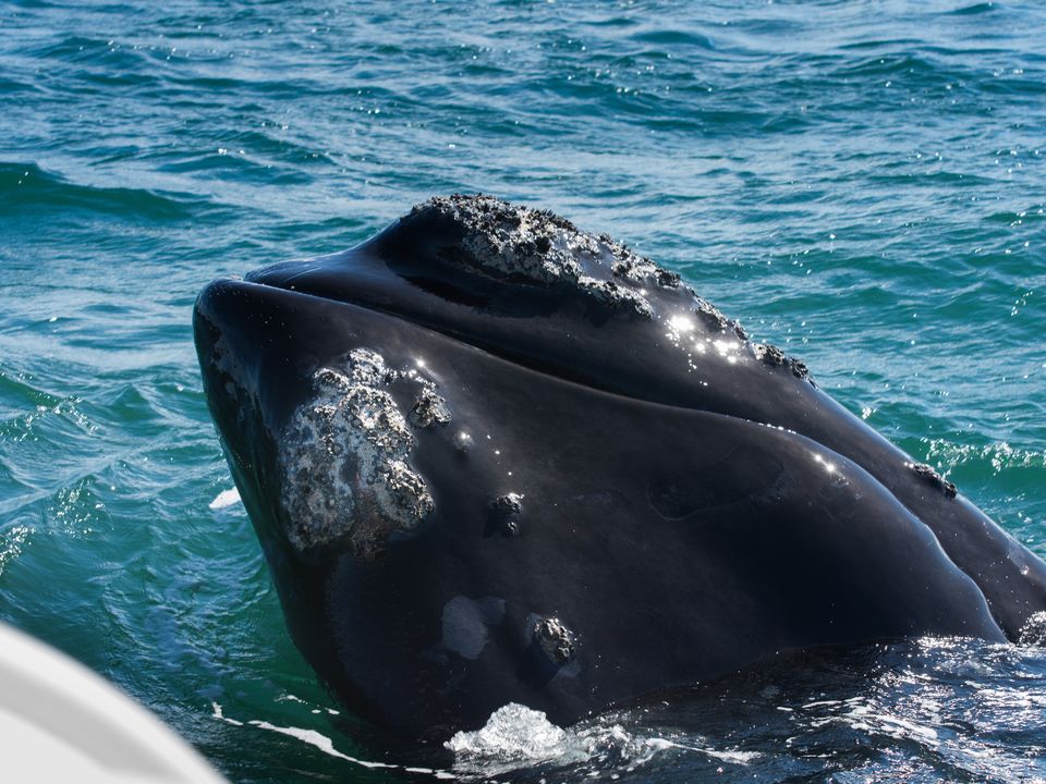 d06ddf3d-80f3-4c59-aef2-9cb5a110f628