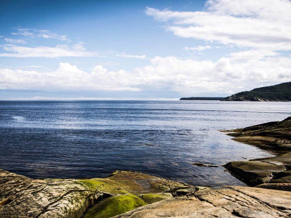 Boottocht voor de kust van Tadoussac, Canada