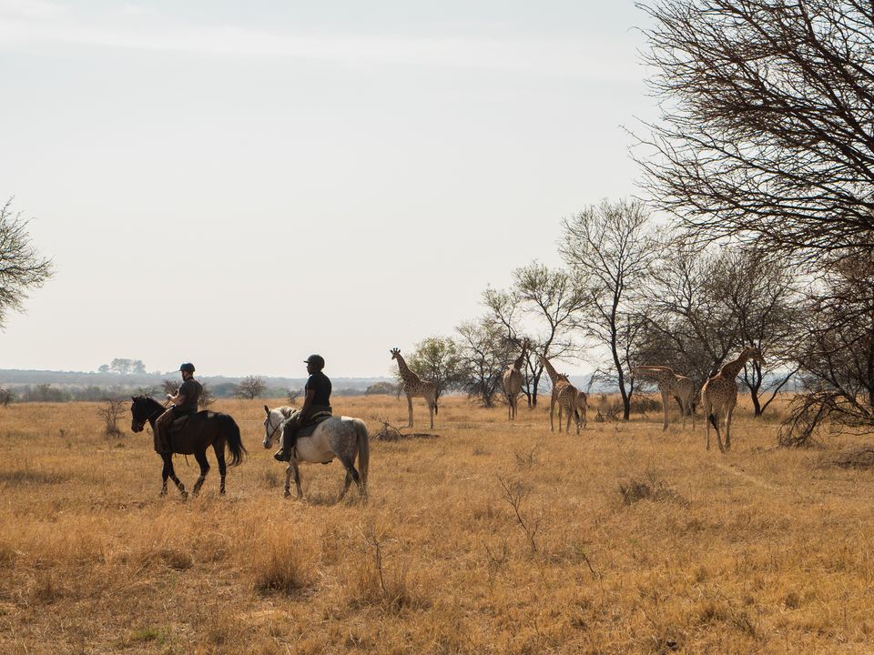 Paardrijden door Mlilwane, Swaziland