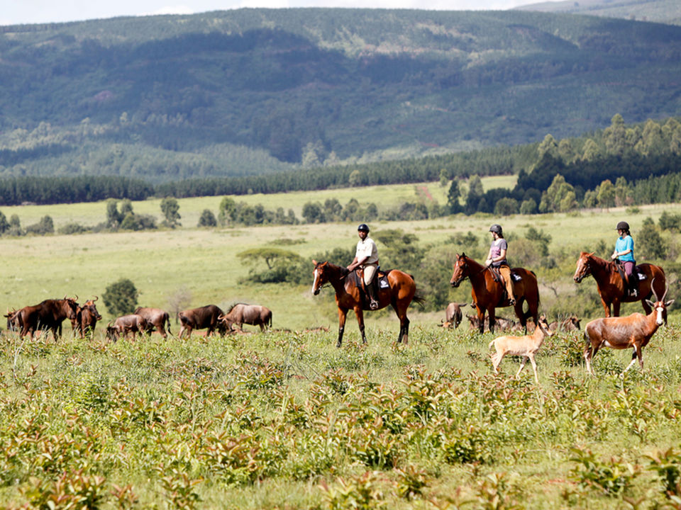 Paardrijden in Mlilwane, eSwatini
