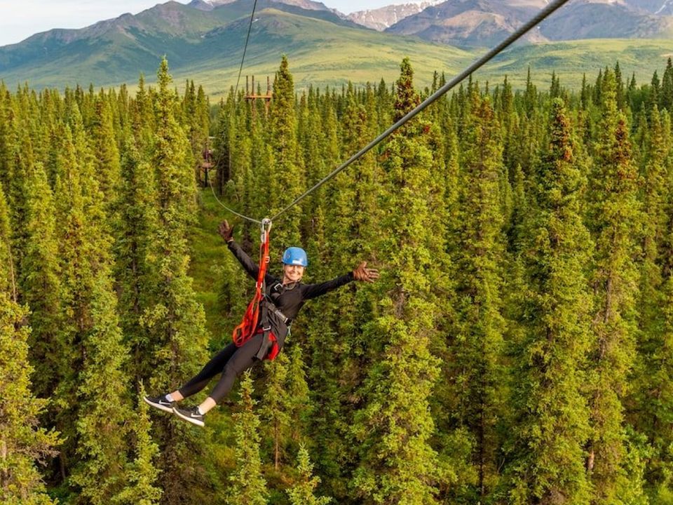 Ziplinen bij Denali National Park, Alaska, Amerika