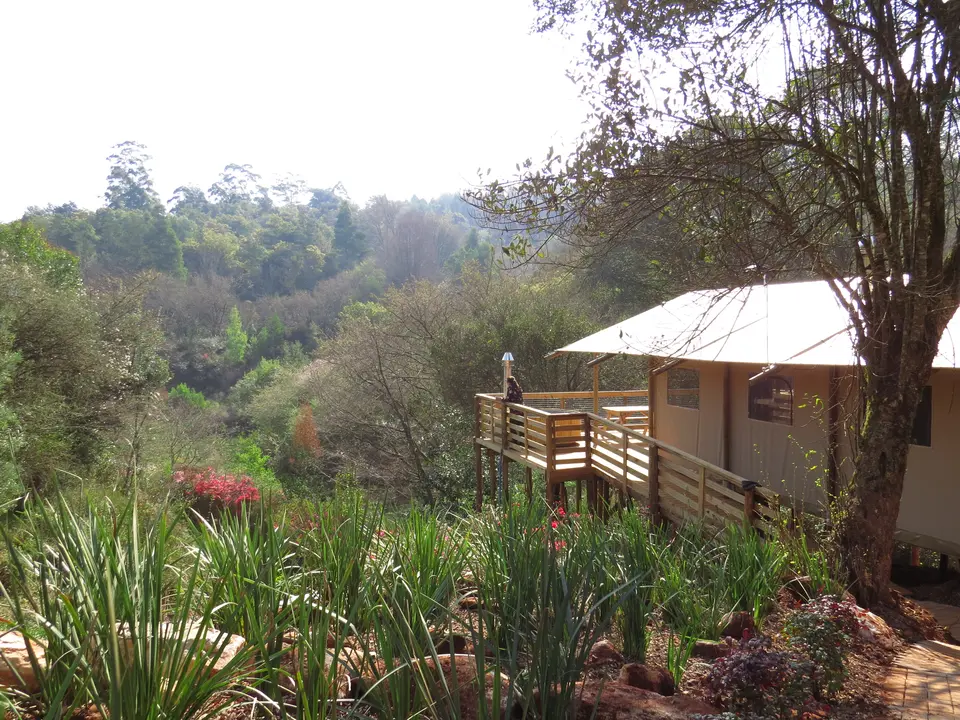 Glamping nabij Tzaneen