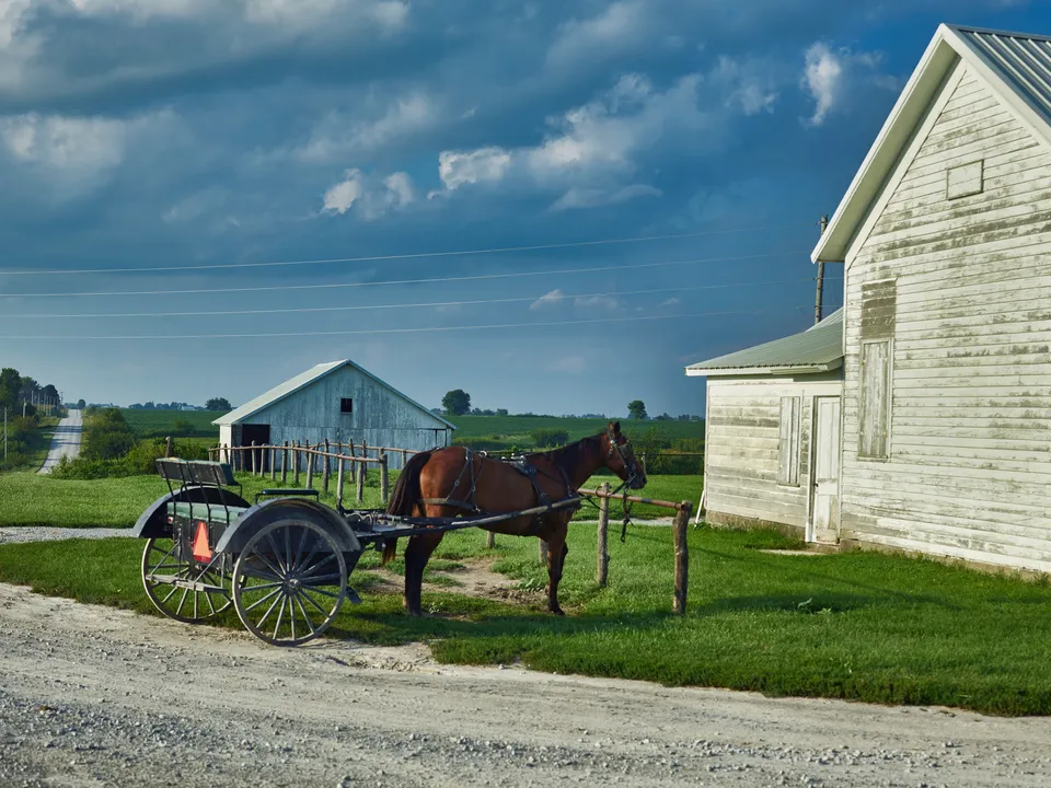 Paard en wagen van de Amish in Lancaster