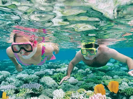 Snorkelen in het Great Barrier Reef, Australië
