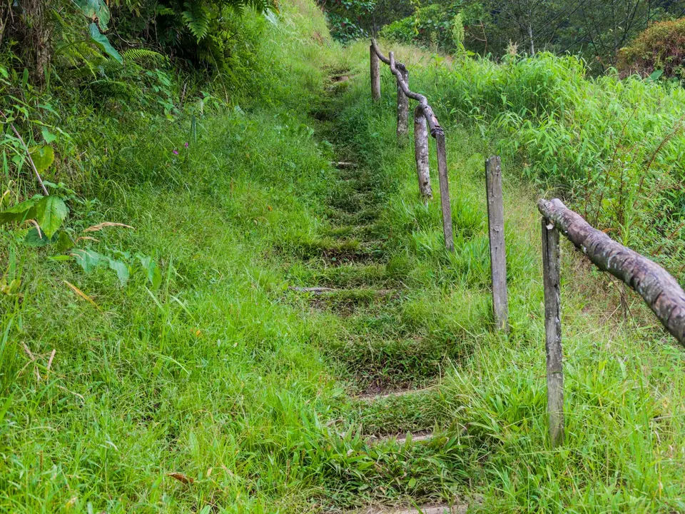 Lost waterfall trail bij Boquete - Panama