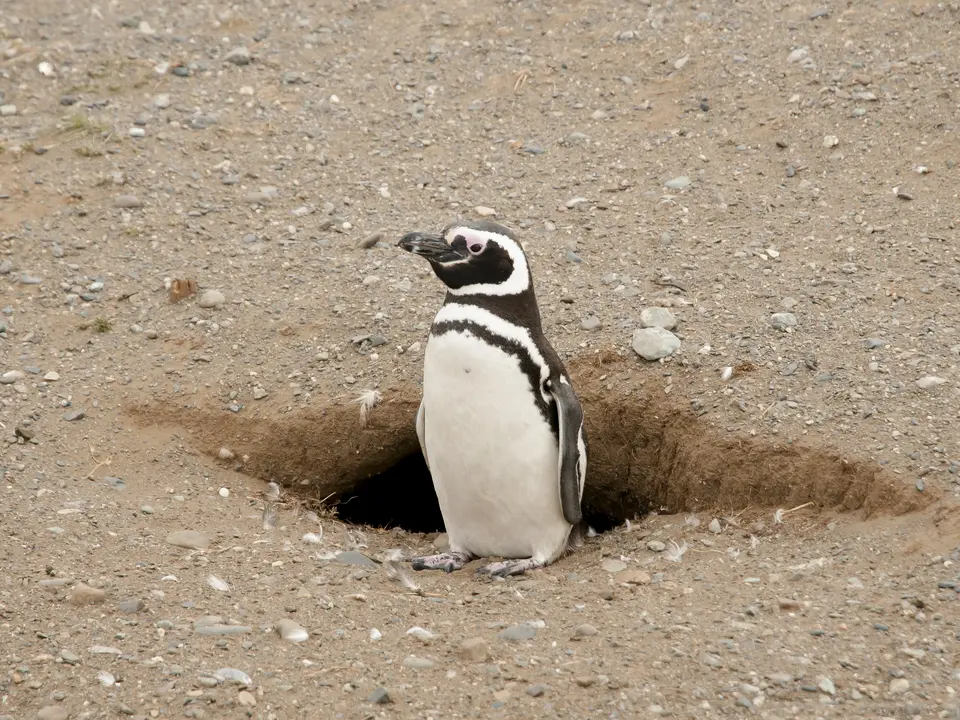 a616ce77-db8f-4493-a28a-77bbf02d1a18