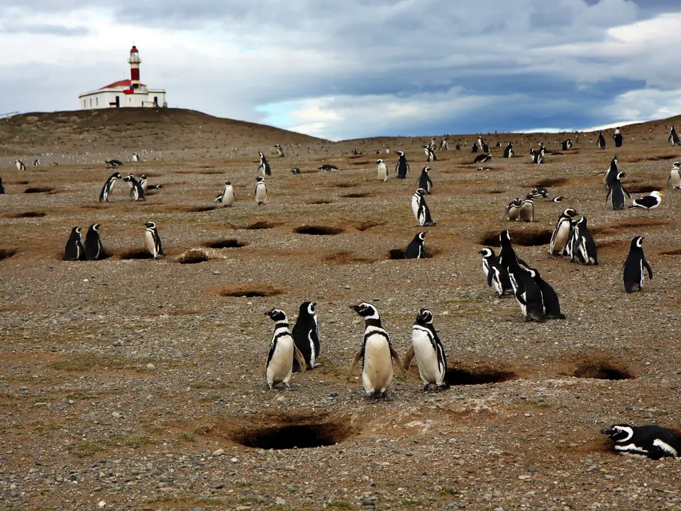 ebb27ce4-69fe-415d-9783-f4695d50f391