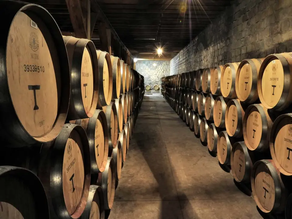 Wijnproeven in het wijngebied van Maipo