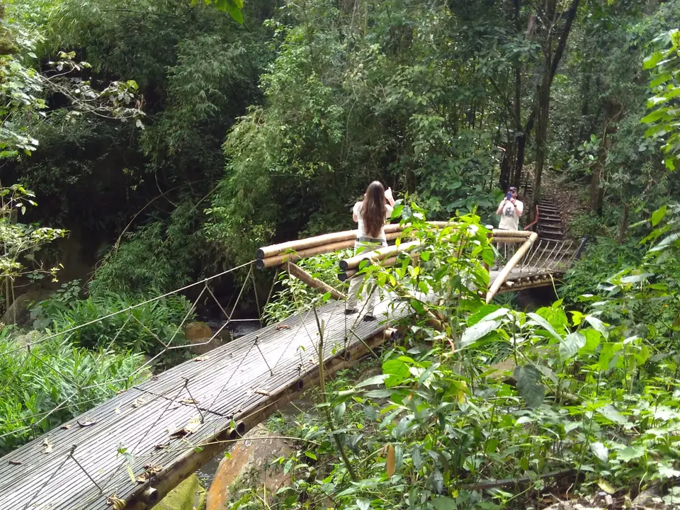 Koffiefarm in een groene omgeving nabij Bogota