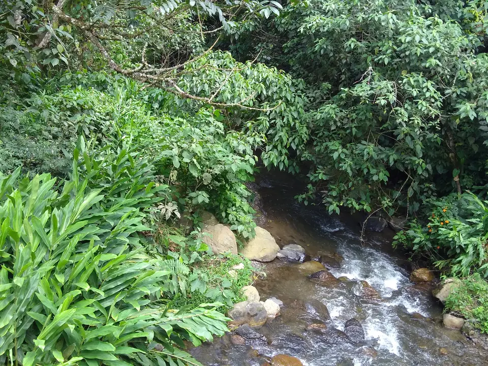 De groene omgeving met een stromend riviertje nabij Bogota