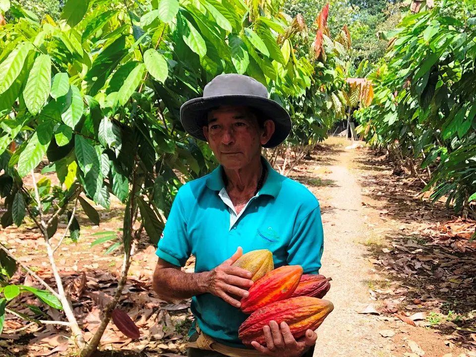 Boer met cacaobonen in Boca Tapada, Costa Rica