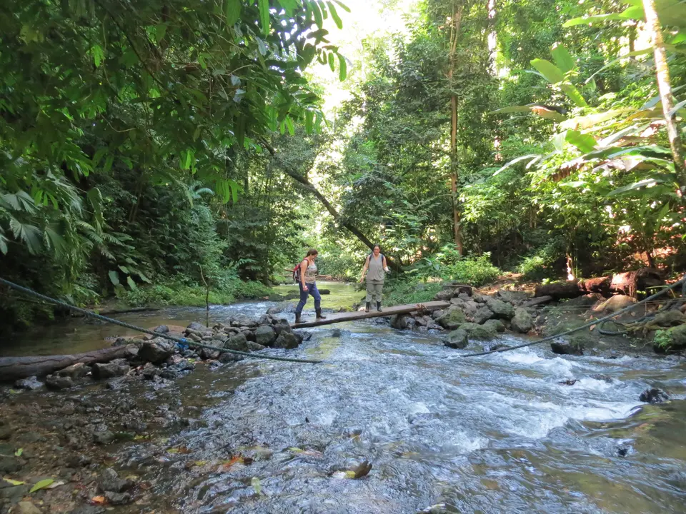 Costa-Rica-Corcovado-National-Park-1(3)