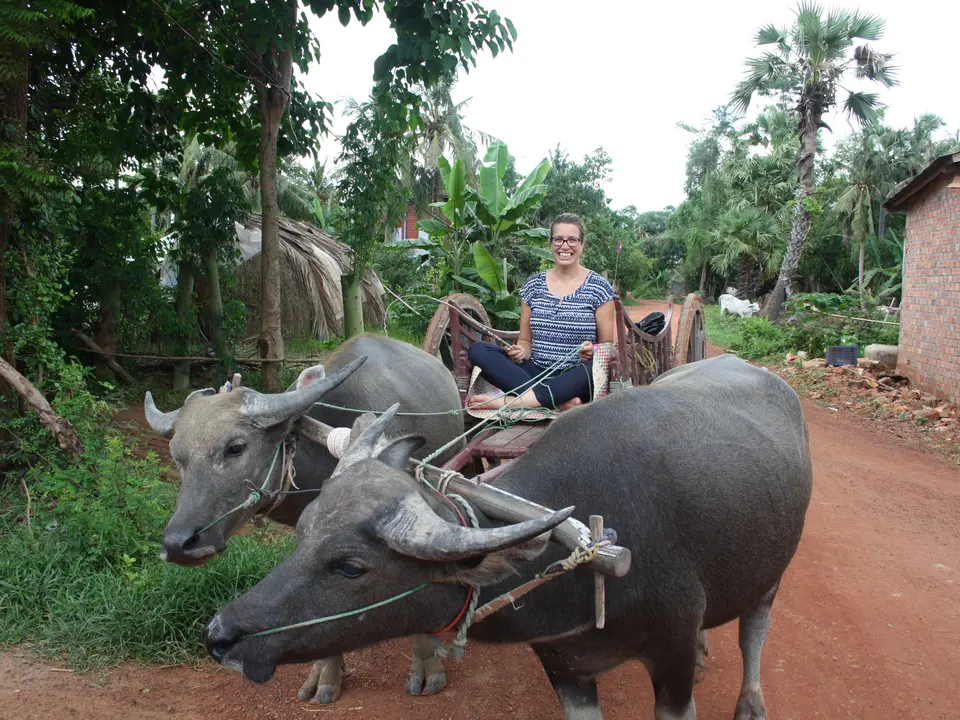 Excursie countryside