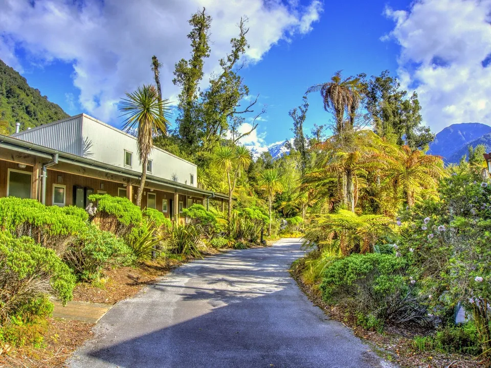 Franz-Josef-Punga-Grove