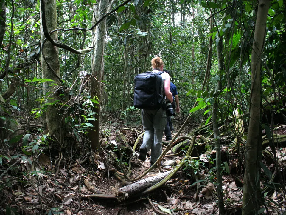 Indonesie-Sumatra-bukit-lawang-trek