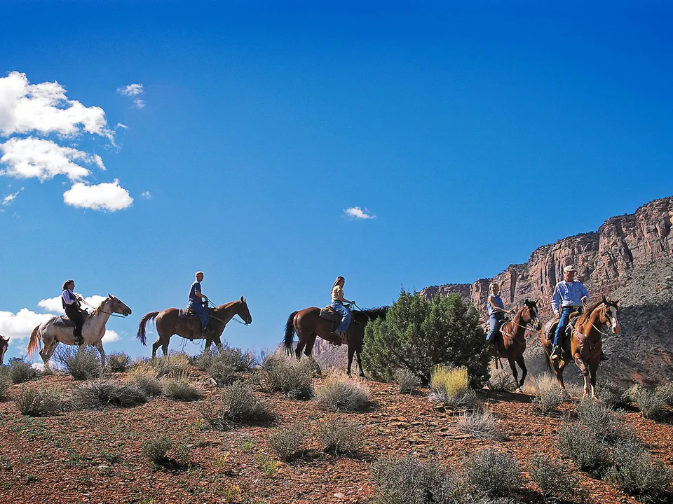 Via de roodgekleurde rotsen rijdt u per paard naar de mooiste punten van Moab, Amerika