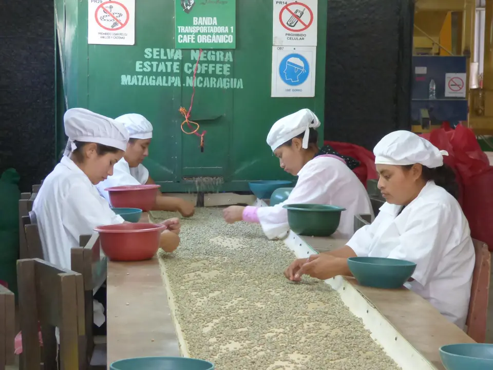 Nicaragua-Matagalpa-Selva-Negra-koffietour