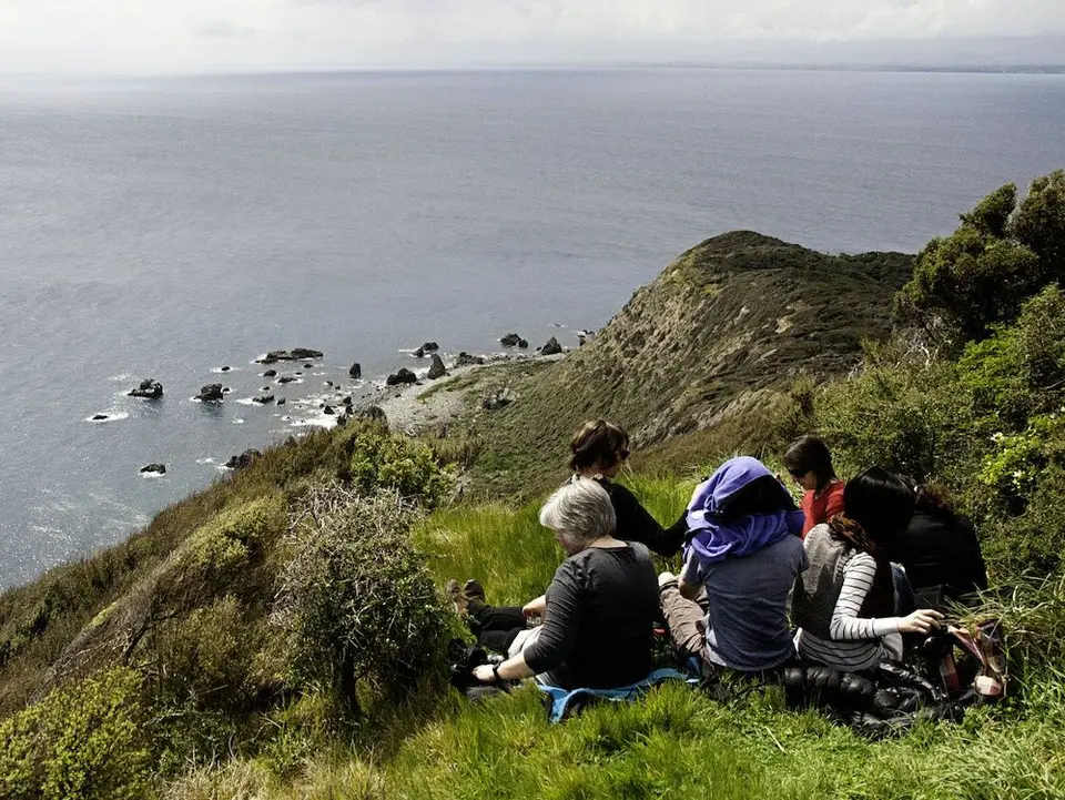 Kiwi’s op Kapiti Island in Nieuw-Zeeland
