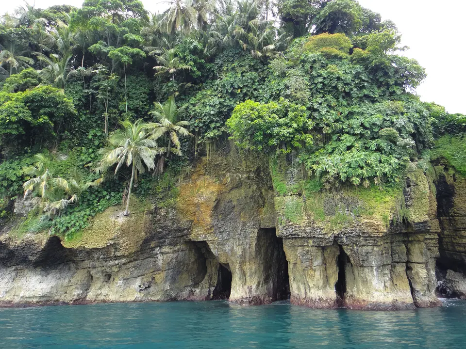 Bird Island bij Bocas del Toro - Panama