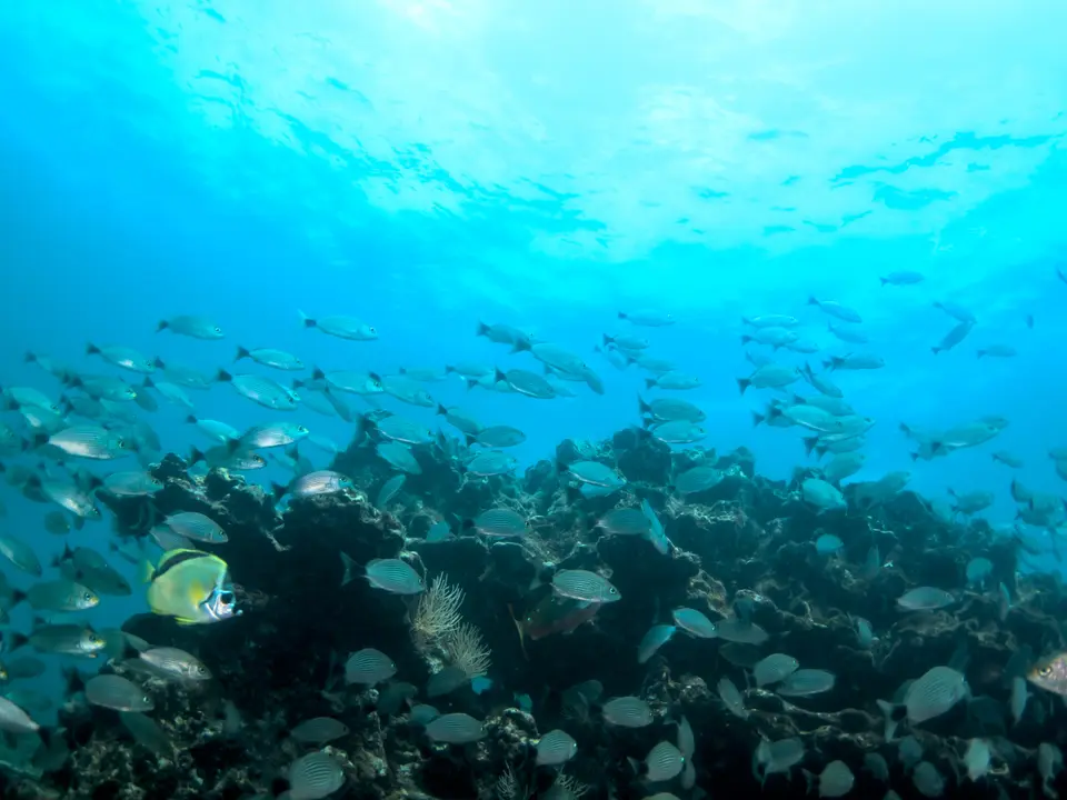 4c44ca7e-c18c-416e-89d6-29aea08c2524