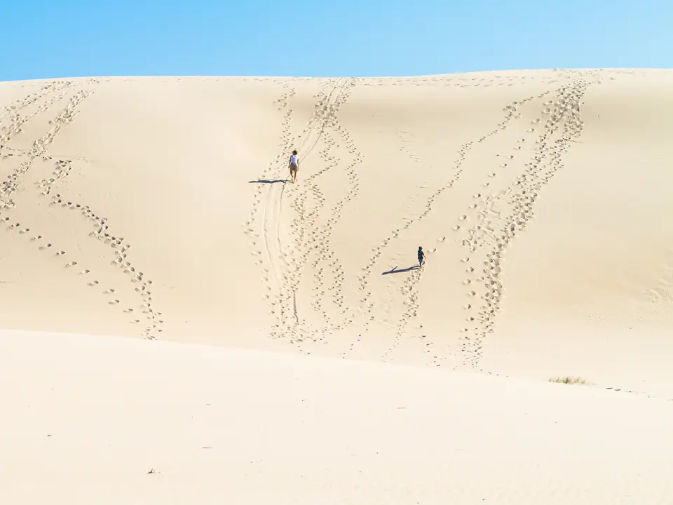 Trotseer de hoge duinen van Port Stephens met een sandboard