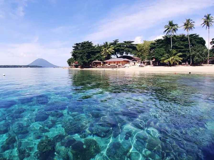 Snorkel bij Kuda Laut resort, Sulawesi