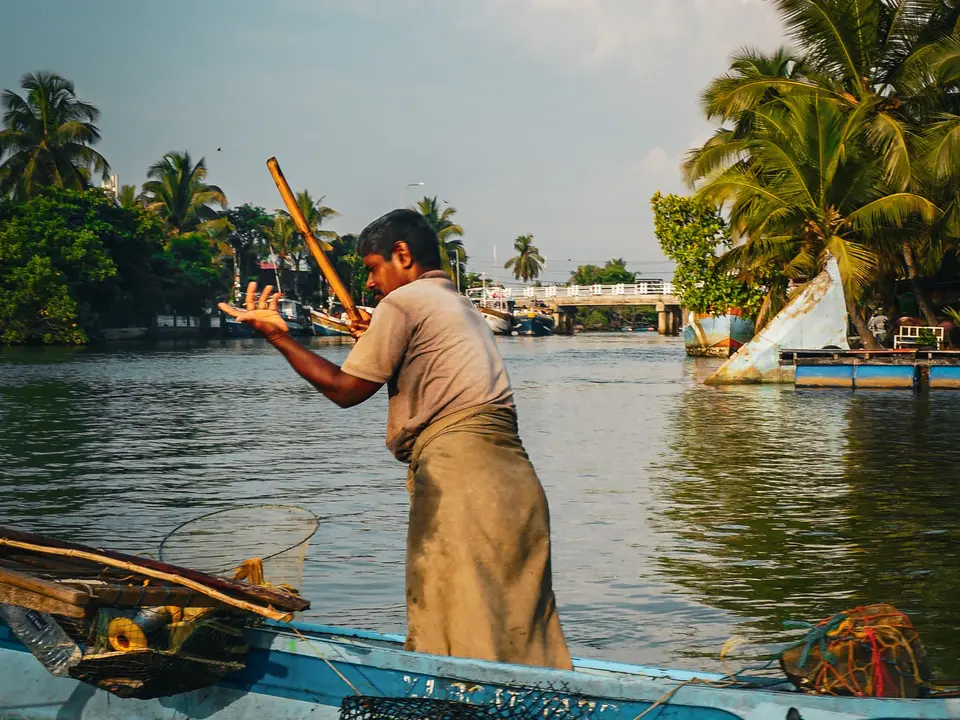 Sri Lanka, Negombo visser
