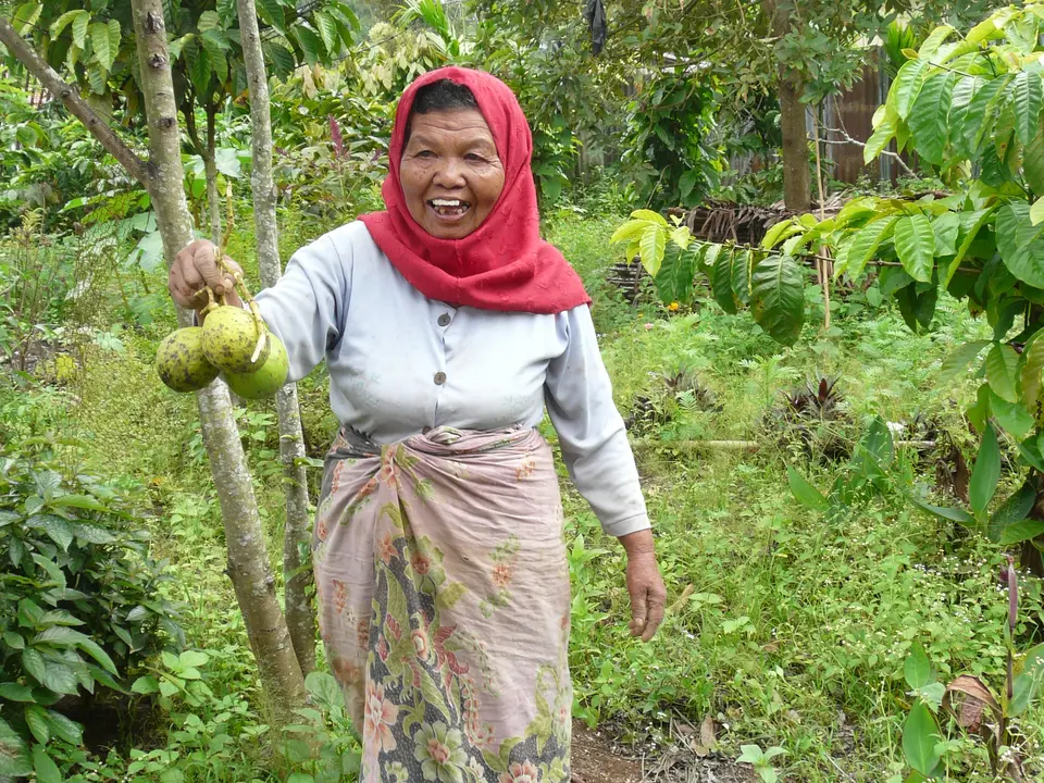 Sumatra-Bukittinggi-Local_1_393839