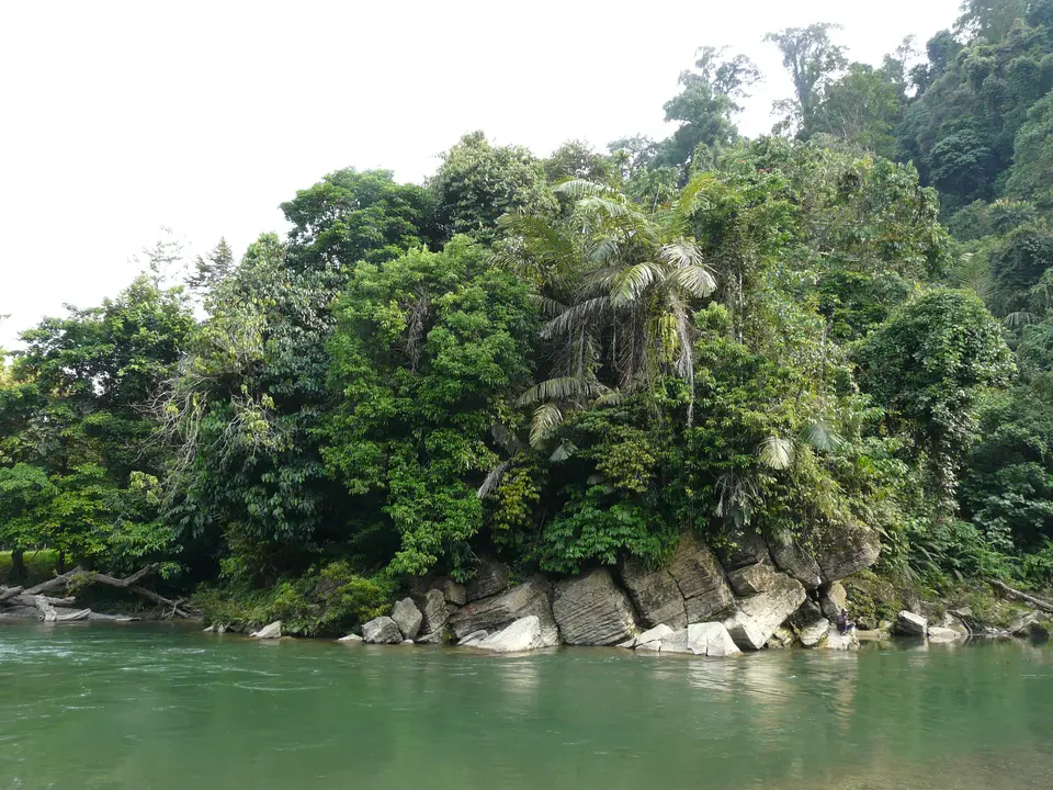 Per tube vaart u langs de groene natuur van Tangkahan, Sumatra