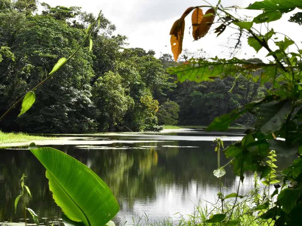 Vulkaan-Arenal-National-Park-6(17)